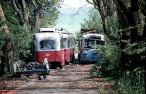 D2924