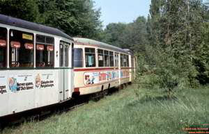 D2934 �stra